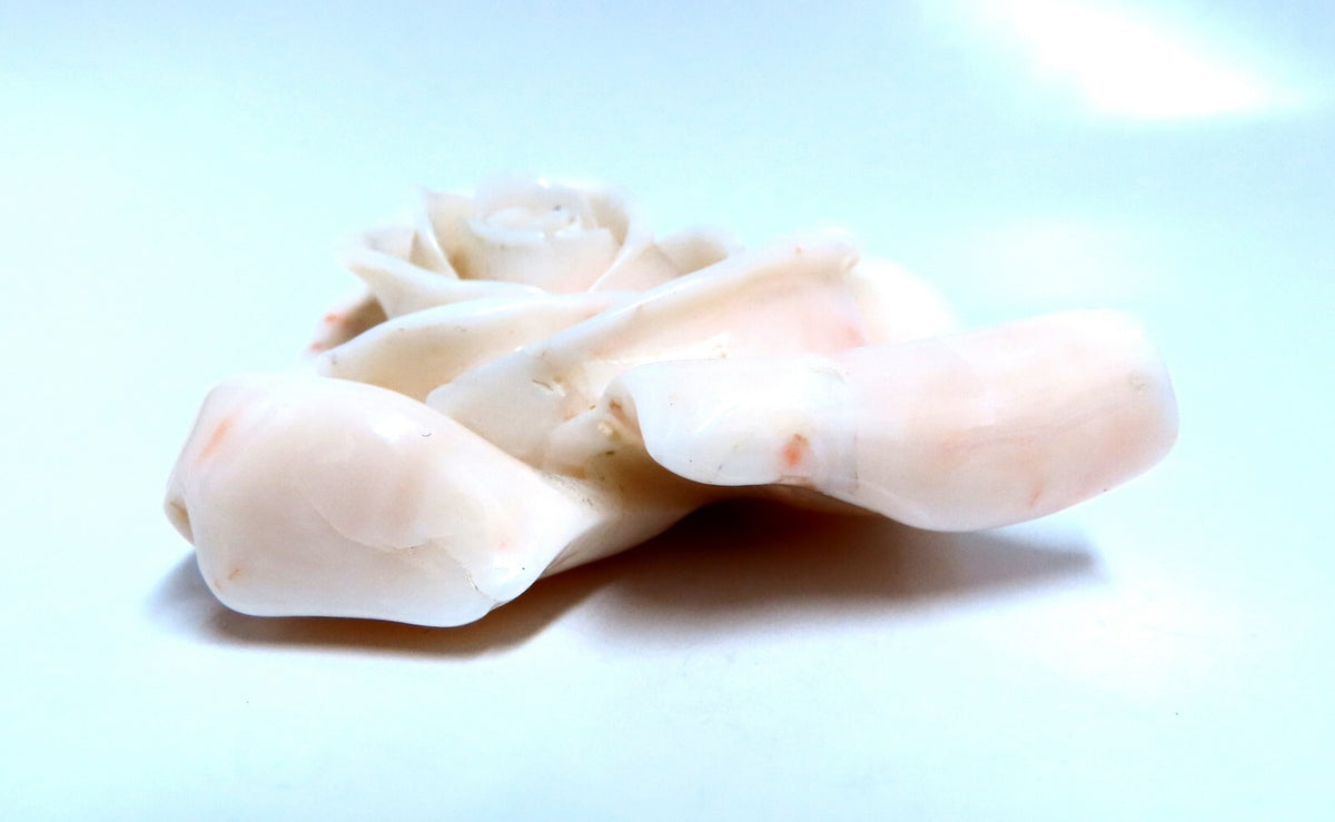 GIA Certified Carved Coral *v