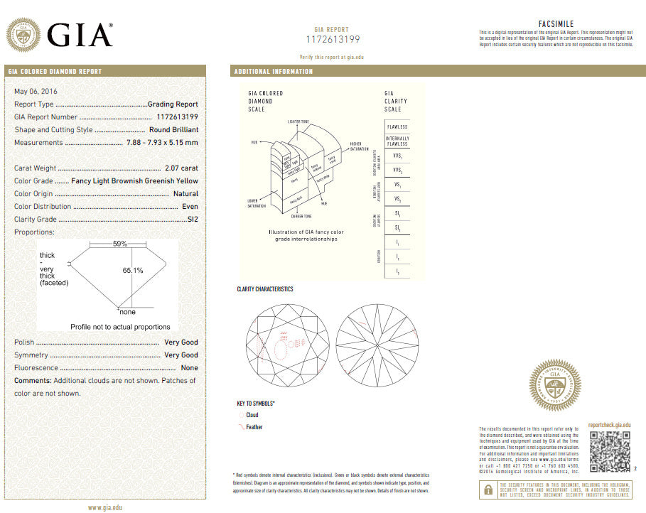GIA certified 3.67ct Fancy Round Natural Diamond ring circular flush deck*v