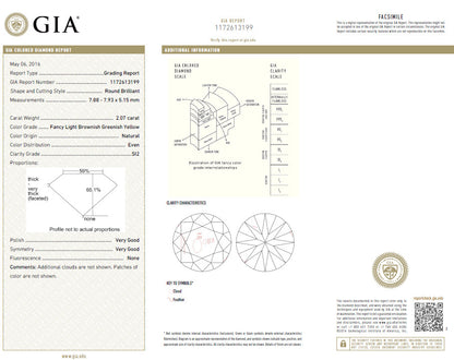 GIA certified 3.67ct Fancy Round Natural Diamond ring circular flush deck*v