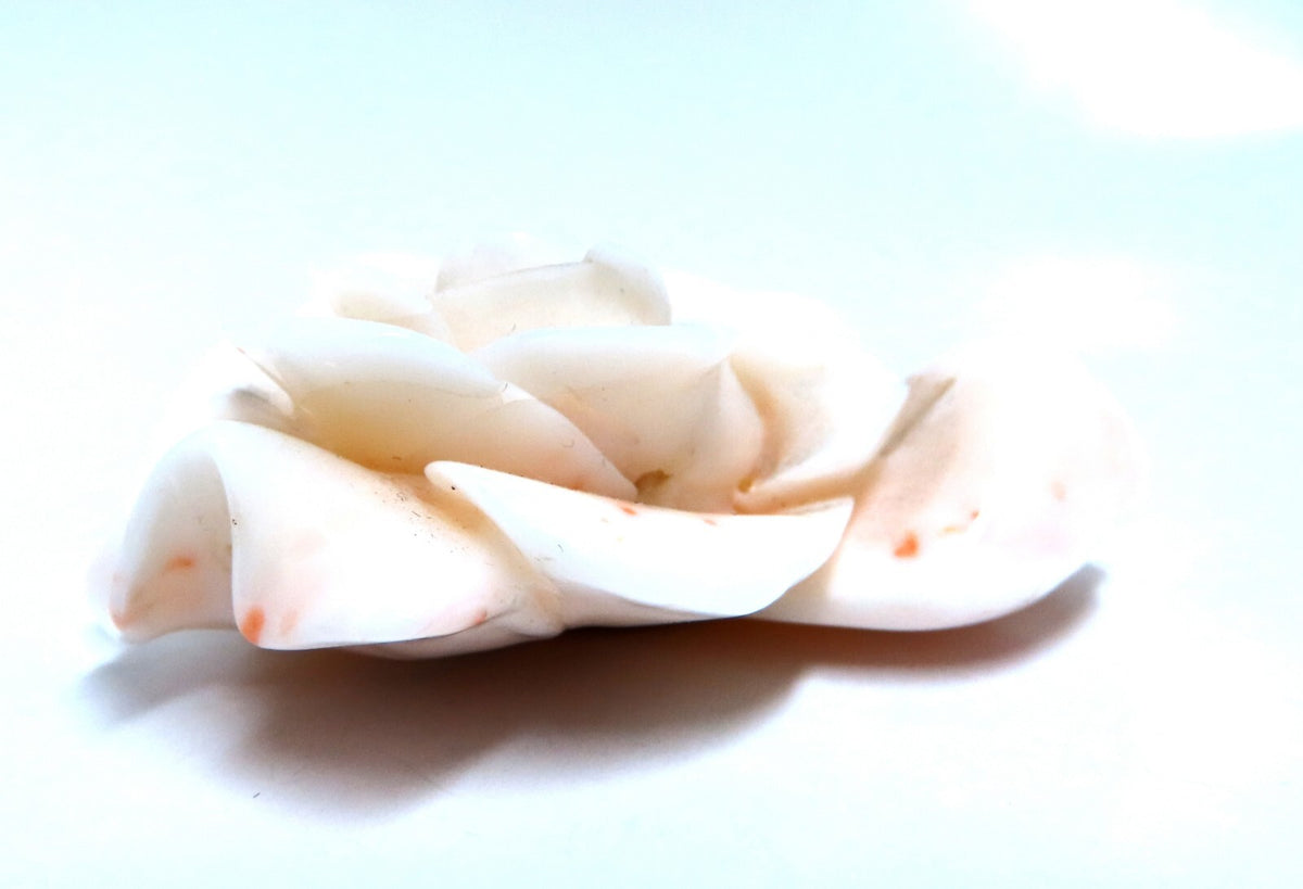 GIA Certified Carved Coral *v