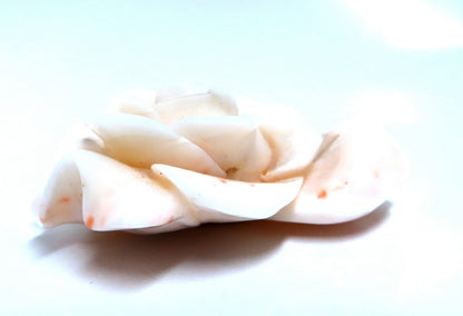 GIA Certified Carved Coral *v