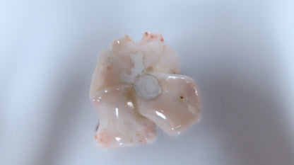 GIA Certified Carved Coral *v