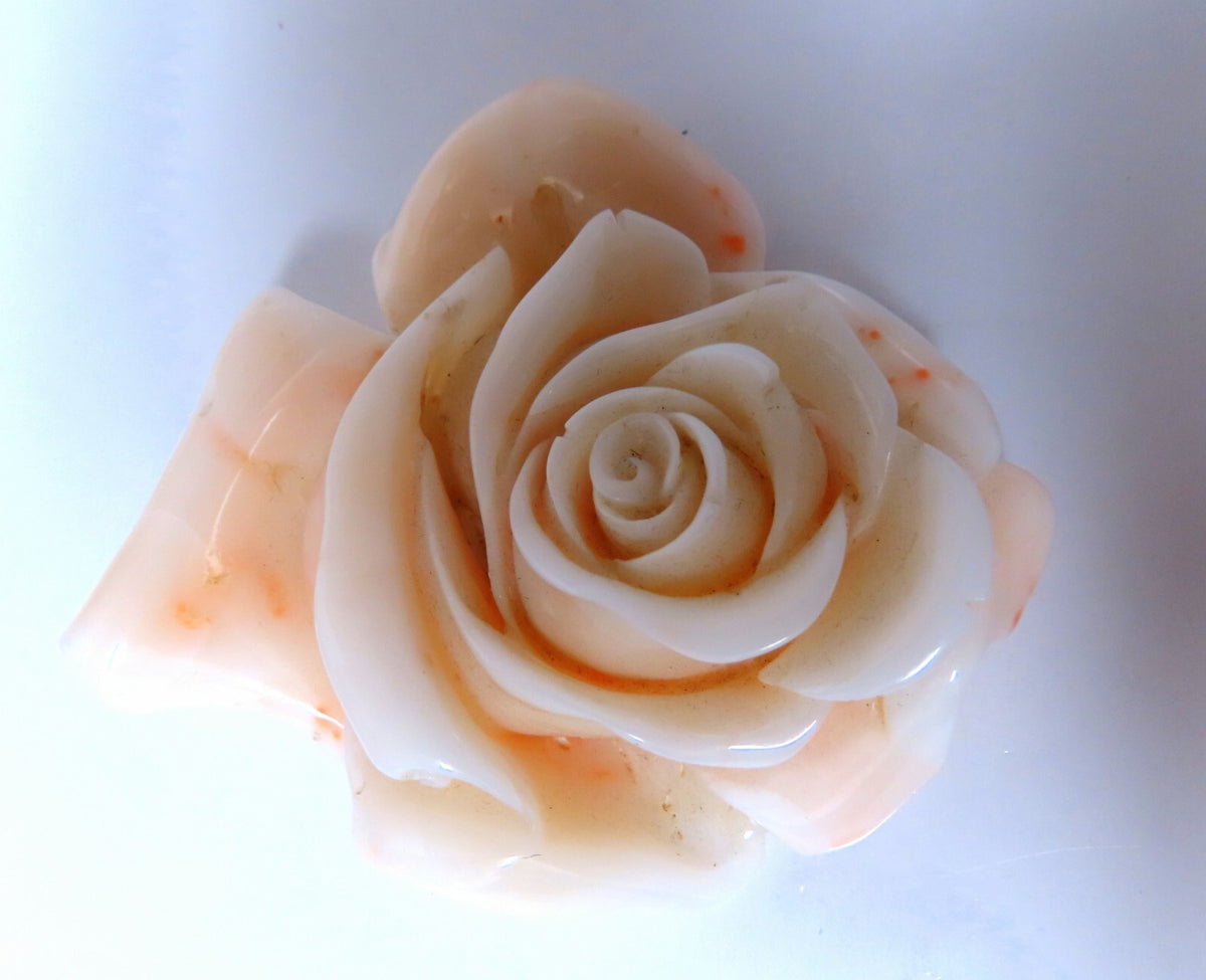 GIA Certified Carved Coral *v