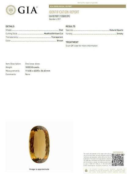 Museum Specimen West American  1835Ct Natural Smoky Quartz Healing Stone *v