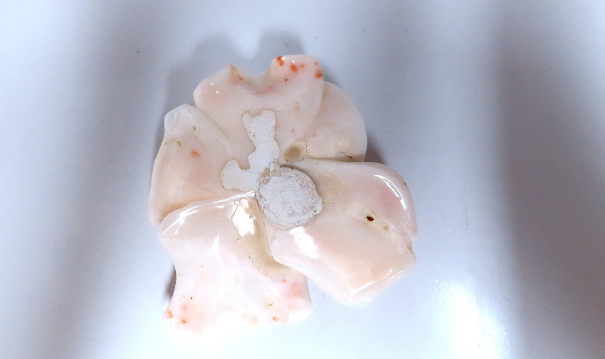 GIA Certified Carved Coral *v