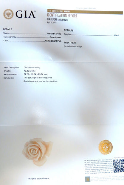 GIA Certified Carved Coral *v