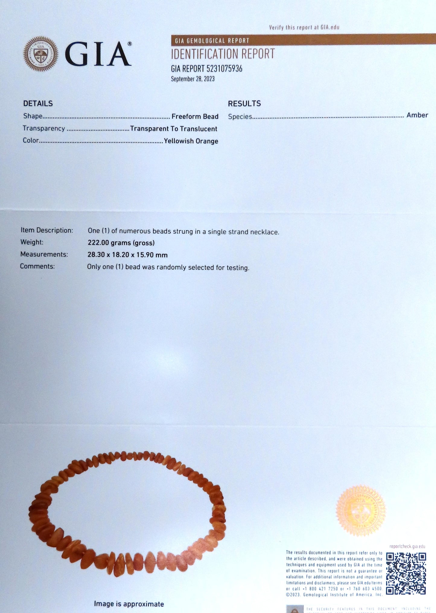 GIA Certified Natural Yellow Orange Amber Bead Necklace 12416