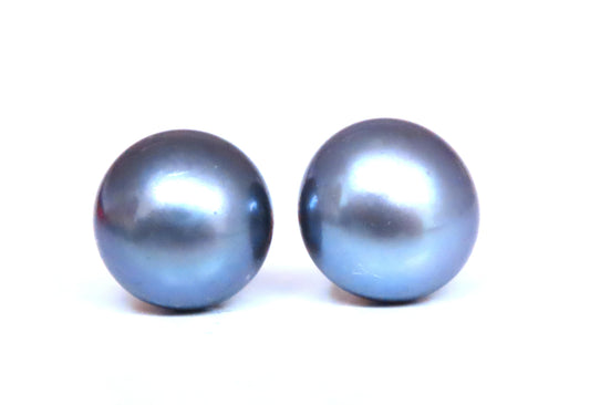 South Seas Peacock Gray Pearl Studs 14kt Gold 12589