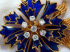 18KT FRANCE FLORAL FORM ROTARY BLUE PETAL DIAMONDS PIN UNUSUAL