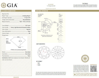 GIA certified 3.67ct Fancy Round Diamond ring circular flush deck