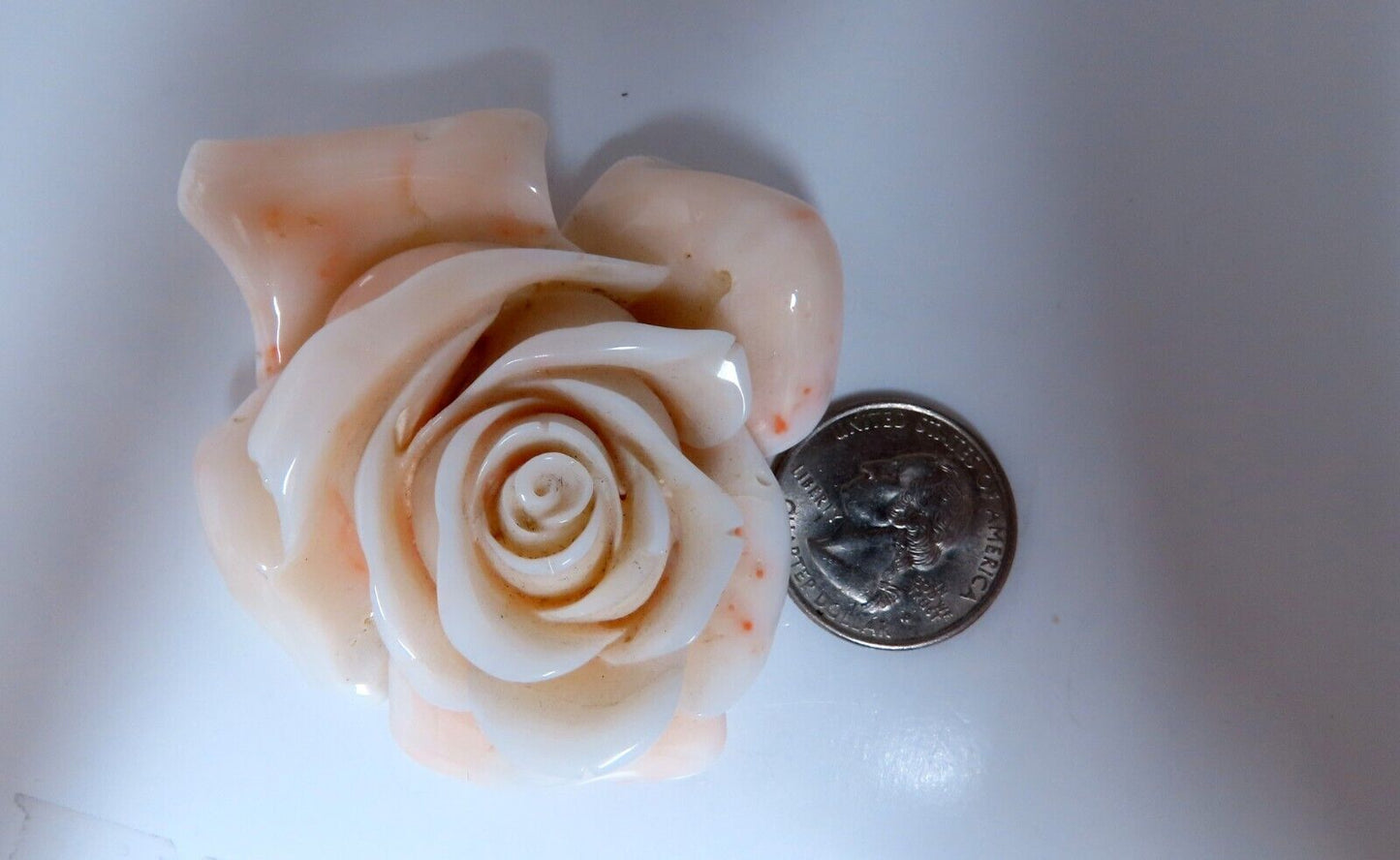GIA Certified Carved Coral