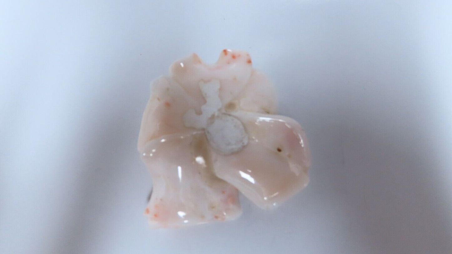 GIA Certified Carved Coral